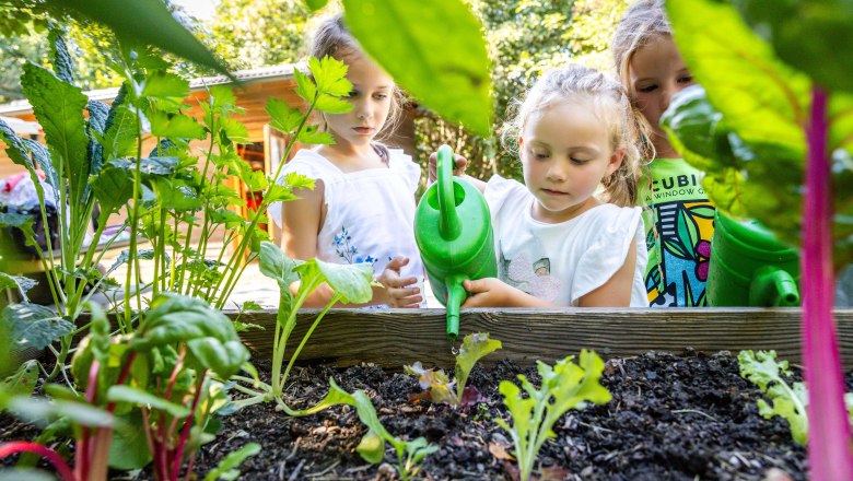 Kinder gärtnern im Gemüsebeet