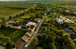 Eine Kellergasse umgeben von Weinbergen.