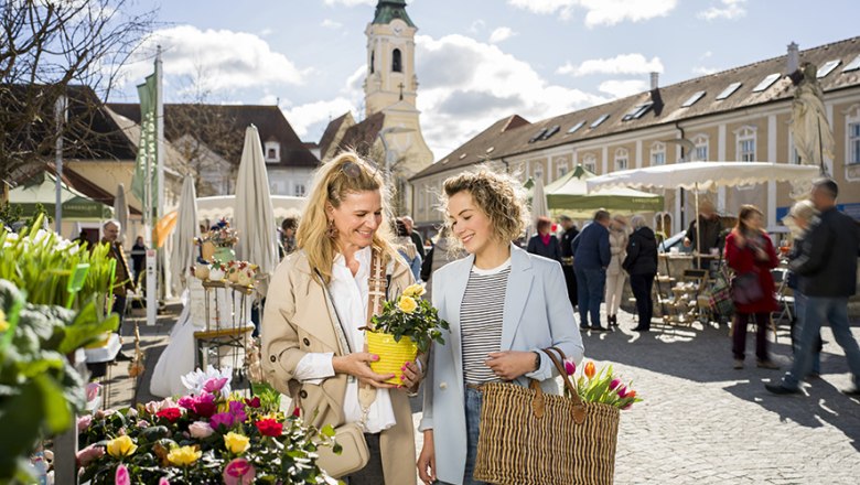 Genussmarkt am Holzplatz, © POV Robert Herbst