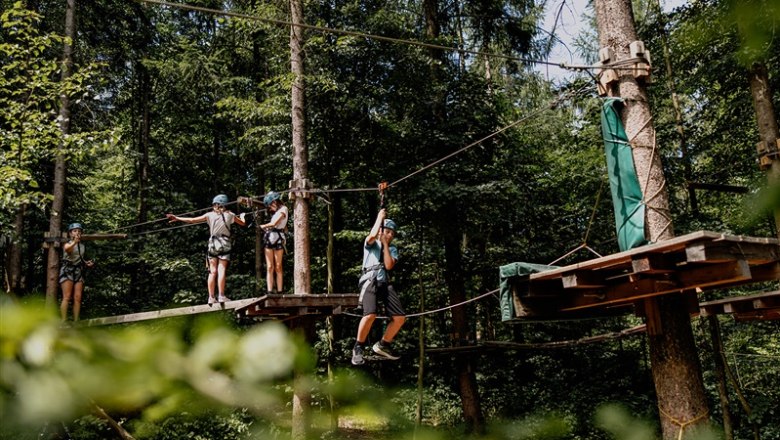 Personen im Kletterpark auf Plattformen in einem Wald.