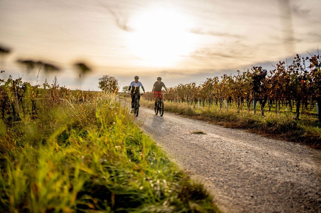 Veltliner-Runde