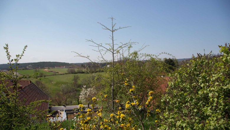 Blick aus dem Garten, © Andrea Heistinger