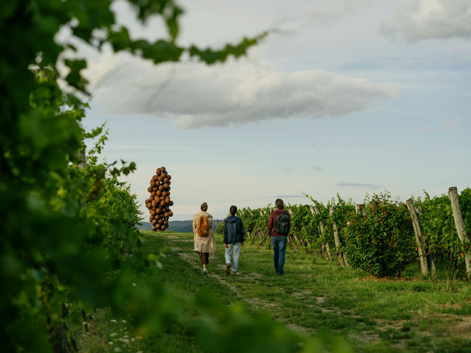 WEINWEG Langenlois