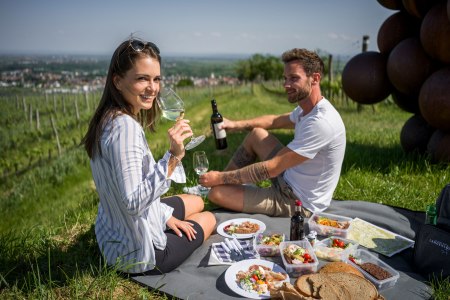 Picknick in der Riede Käferberg, © POV Robert Herbst