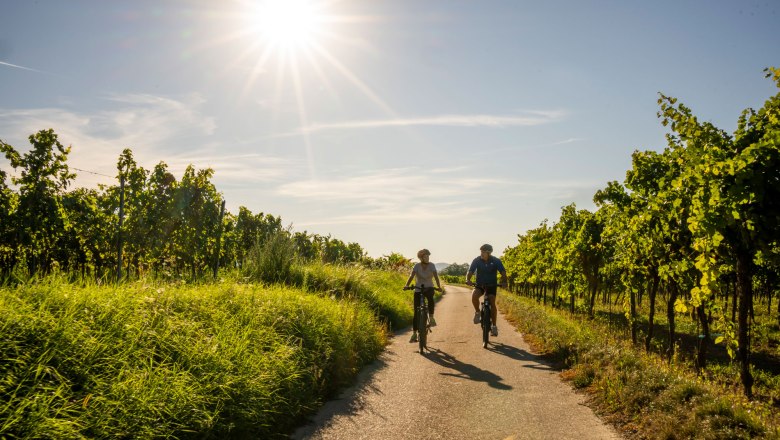 Durch die Weingärten von Langenlois mit dem Rad, © POV Robert Herbst