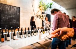 Ein Glas Wein im Vordergrund. Im Hintergrund einige Weinflaschen. 