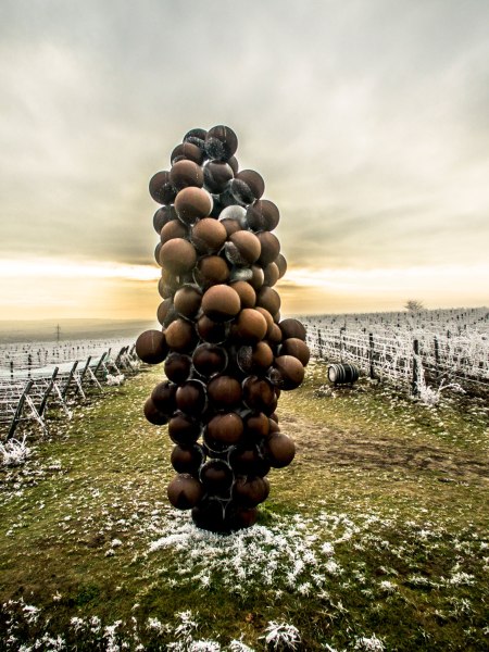 Raureif in der Riede K&auml;ferberg, &copy; POV Robert Herbst