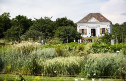 Ein Garten im Hintergrund ein Haus. 