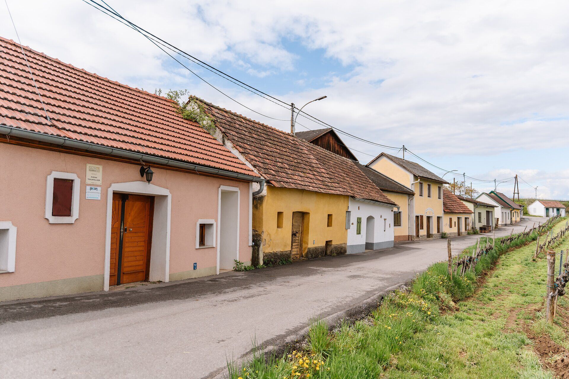 Die sanften Hügel des Kamptals sind im Frühling ein wahres Paradies für Weinliebhaber. Bunte Blumen blühen entlang der malerischen Straßen, während die charmanten Weinhäuser einladend wirken. Hier erleben Besucher die perfekte Kombination aus Natur und Genuss.