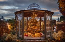 Beleuchteter Weihnachtsbaum mit Geschenken in einem gläsernen Pavillon.