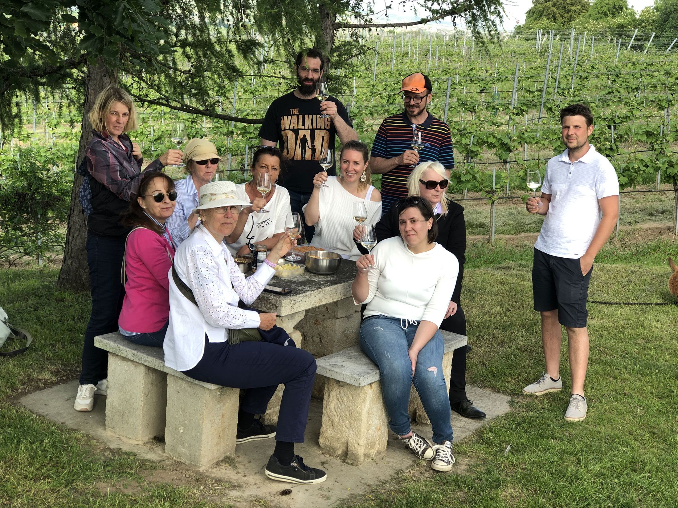 Weinerlebniswanderung mit Alpakas