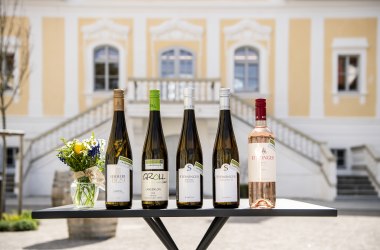 Langenloiser Weinchampions Frühjahr 2025, © POV Robert Herbst