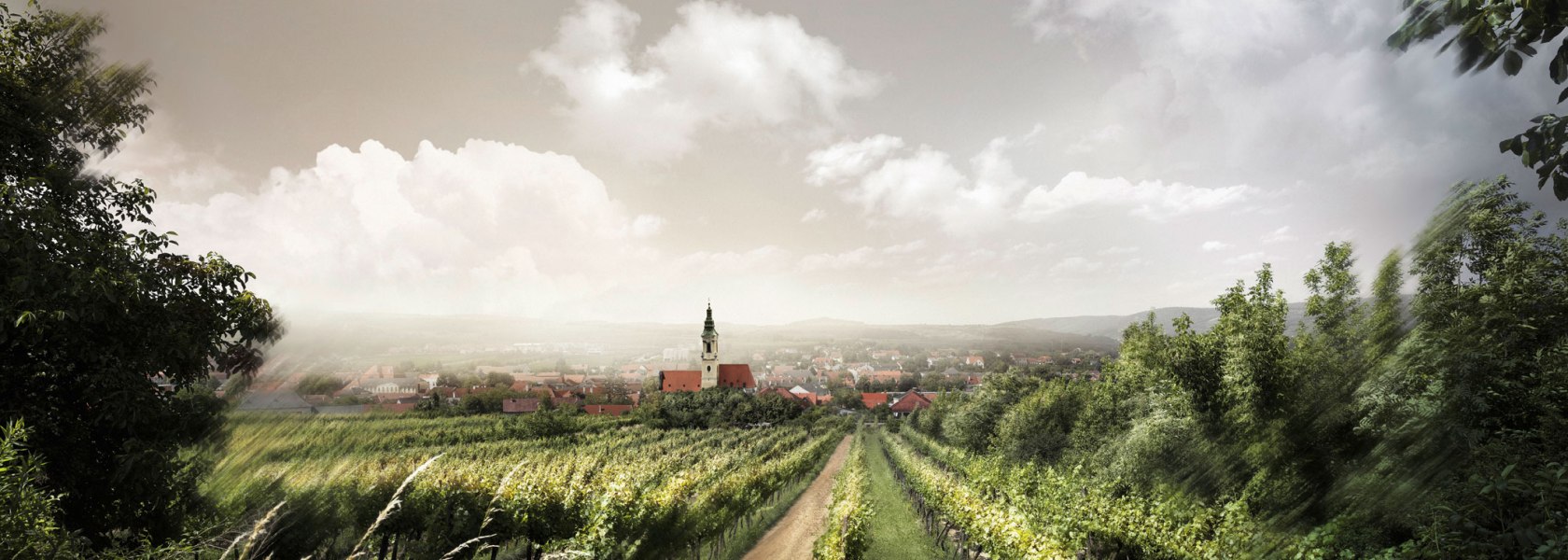 Blick auf die Kirche von Langenlois, © POV Robert Herbst