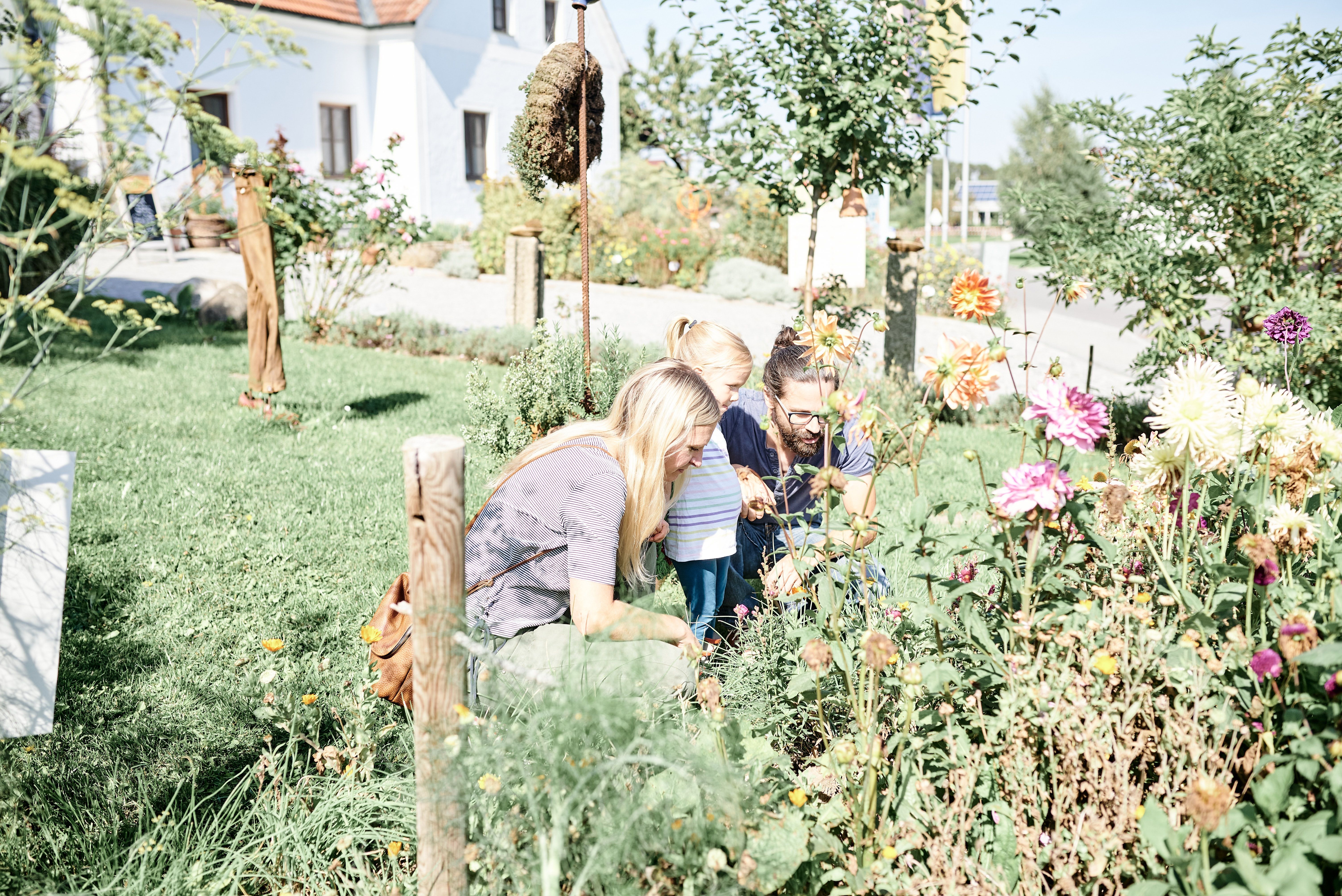 Familie betrachtet Blumen im Garten.