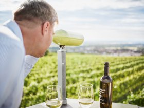 WEINWEG Langenlois, &copy; Waldviertel Tourismus, Gerhard Wasserbauer