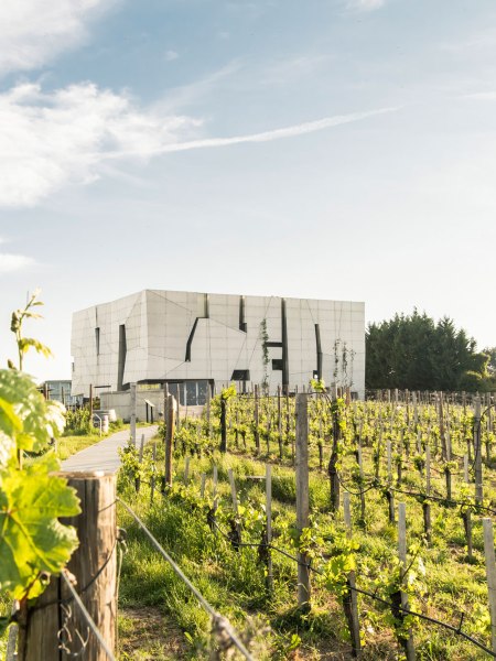 Steininger LOISIUM WeinWelt, &copy; POV Robert Herbst