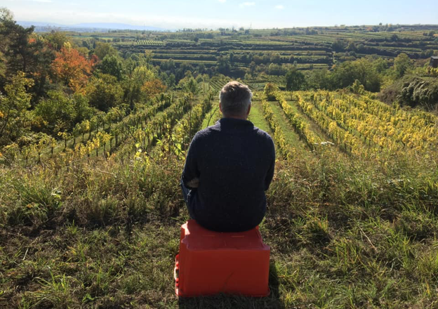 Eine Person sitzt auf einem orangefarbenen Kasten und blickt auf ein weites, terrassiertes Weinberggebiet.