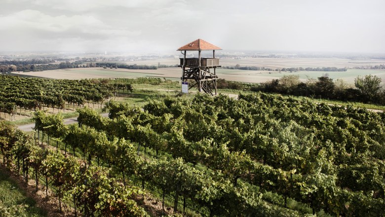 Aussichtsturm am Gobelsberg, © POV Robert Herbst