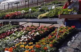 Lehrg&auml;rtnerei Haindorf, &copy; Gartenbauschule Langenlois