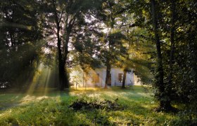 Ein Pavillon im Wald mit Sonnenstrahlen, die durch die B&auml;ume scheinen.