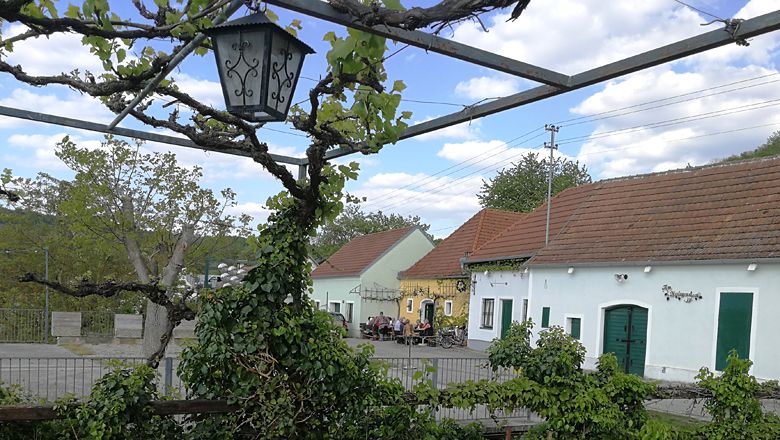 Kellergasse mit Weinkellern und Weinreben, blauer Himmel.