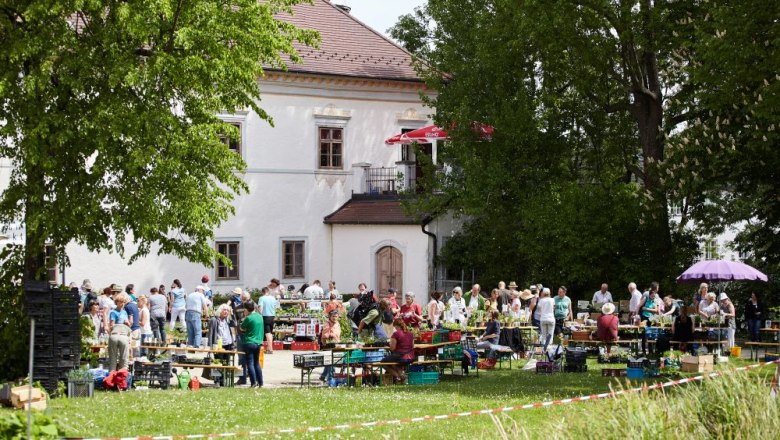 ARCHE NOAH Jungpflanzenmarkt, © Rupert Pessl