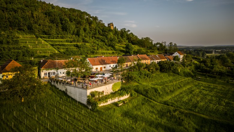 Luftaufnahme eines Weinguts mit Terrasse und G&auml;sten, umgeben von gr&uuml;nen Weinbergen und H&uuml;geln.