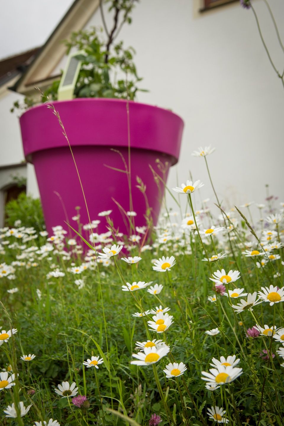 Gartenweg 6