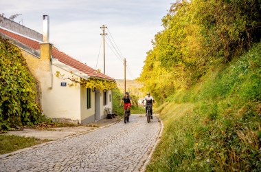 Unterwegs mit dem Mountainbike, © POV Robert Herbst