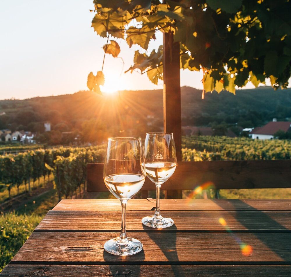 Genießen Sie den Sonnenuntergang über den sanften Hügeln des Kamptals, während zwei Gläser Wein auf einem rustikalen Holztisch stehen. Die goldenen Strahlen der Abendsonne tauchen die Weinreben in ein warmes Licht und schaffen eine Atmosphäre der Entspannung und des Genusses.