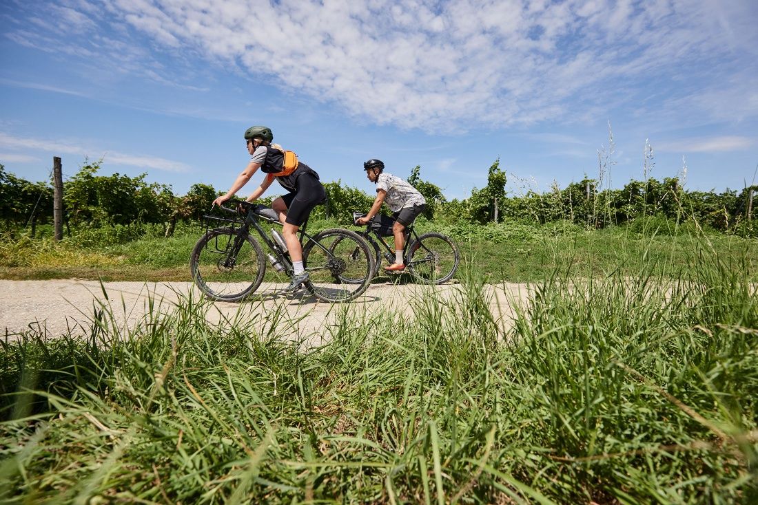 Graveltour Langenlois - Gföhl