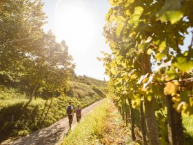 Wandern durch die Weingärten, © Wachau-Nibelungengau-Kremstal