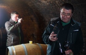 Weingut Wiesinger, © Weingut Wiesinger