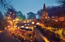 Garten mit weihnachtlicher Beleuchtung. 