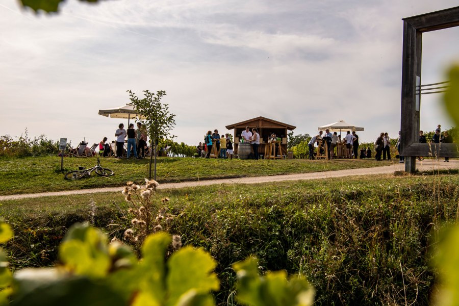 Weingartenschank am WEINWEG Langenlois, &copy; POV Johannes Mautner